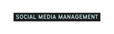 social media management